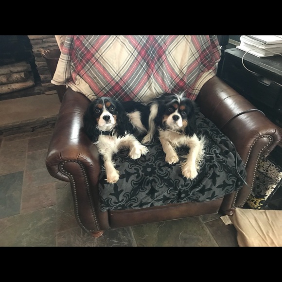 Meet your Posher, Jill - Picture 3 of 4